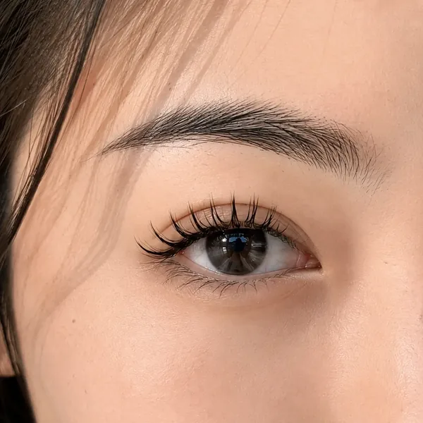 일산 속눈썹 내추럴 연장 — 유래쉬 시술 결과