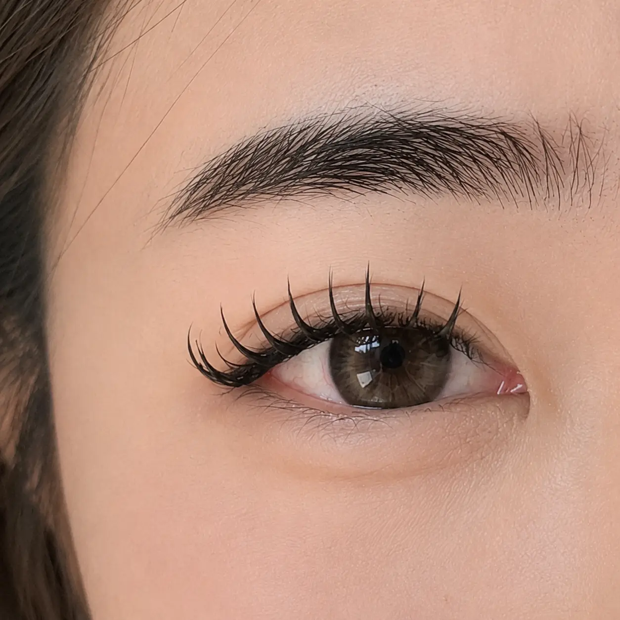 일산 속눈썹 마스카라 연장 — 유래쉬 시술 결과